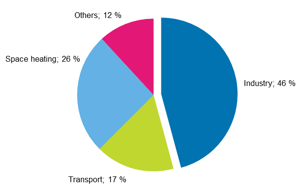 Appendix figure 14. Final energy consumption by sector 2017*