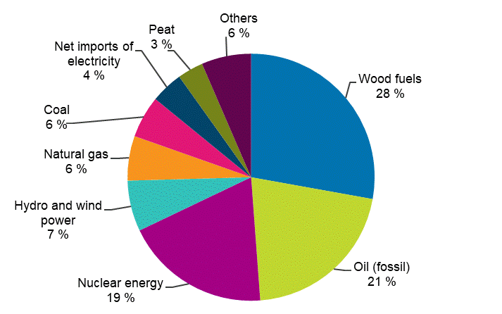Appendix figure 1. Total energy consumption 2020