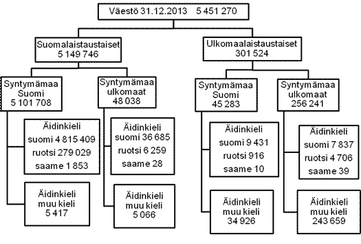 Liitekuvio 1.Vest syntypern, syntymmaan ja kielen mukaan 31.12.2013